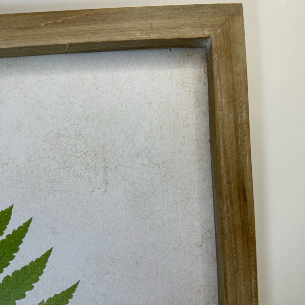 New Framed Green Fern Botanical Minimalistic Modern Herbal Wall Art - Picture 4 of 7